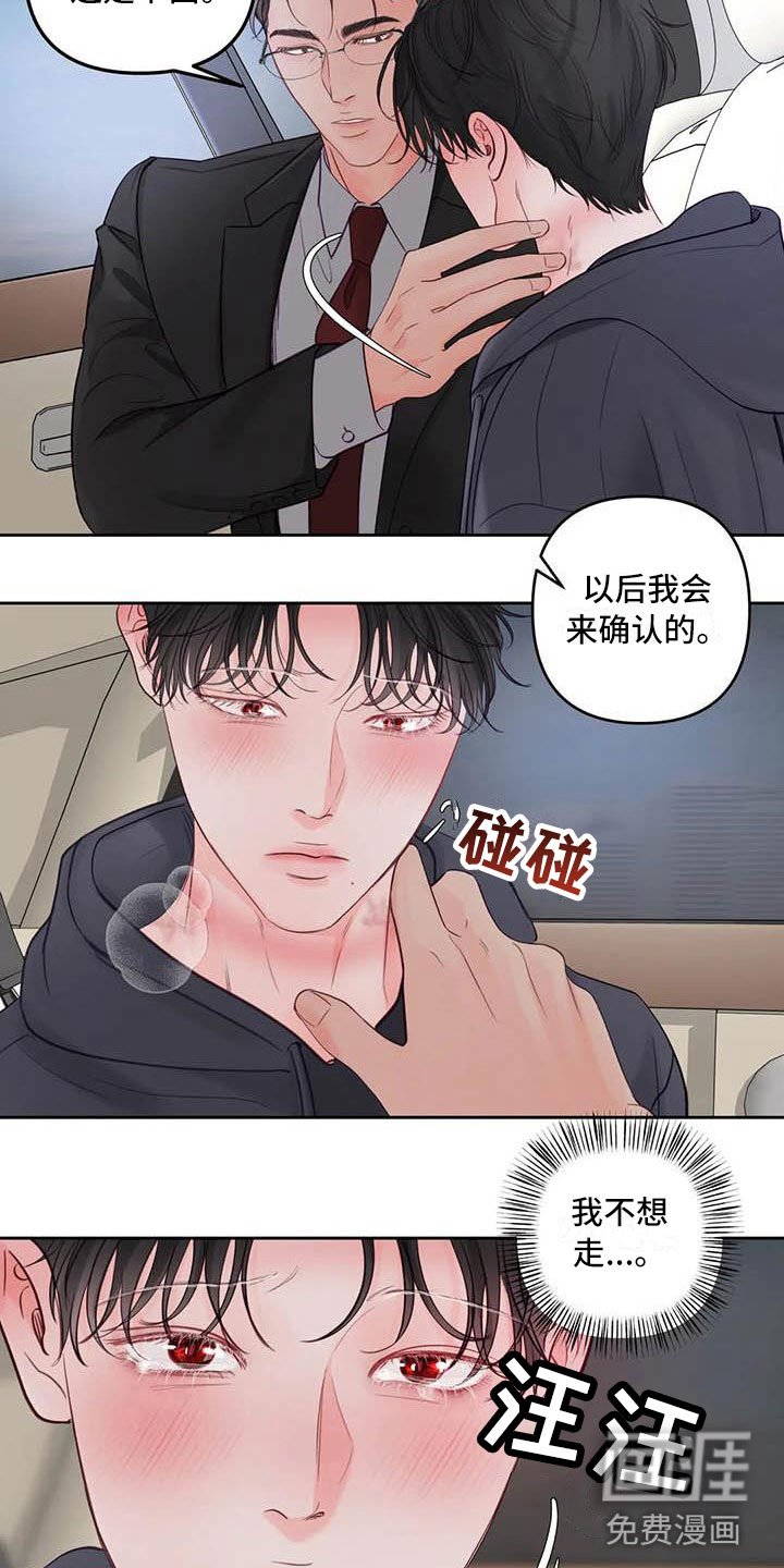 第19章：驯养：车上