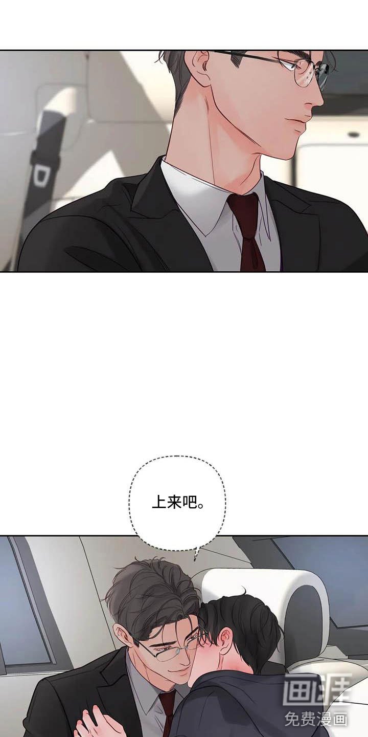 第19章：驯养：车上