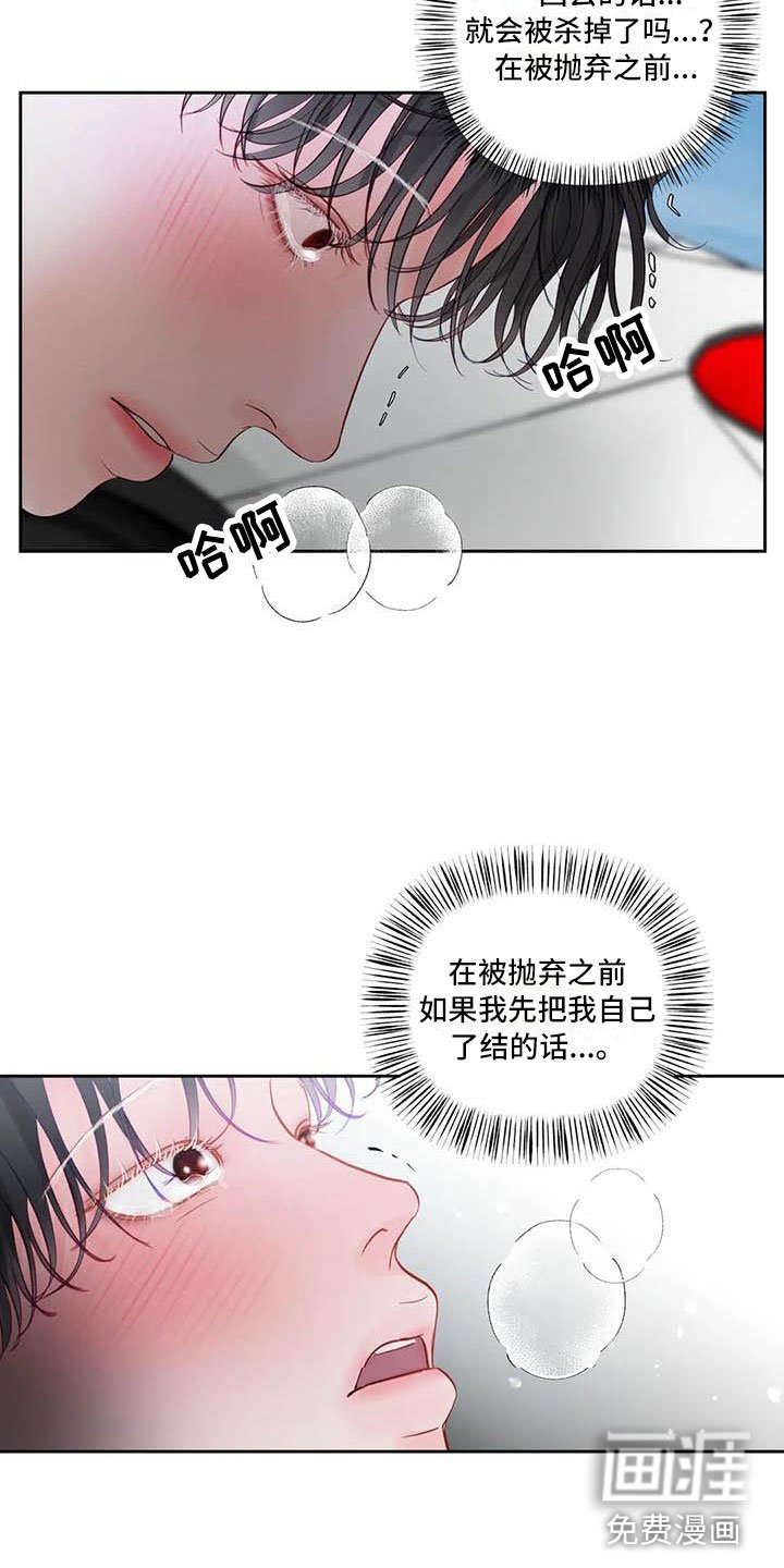 第20章：驯养：逃跑
