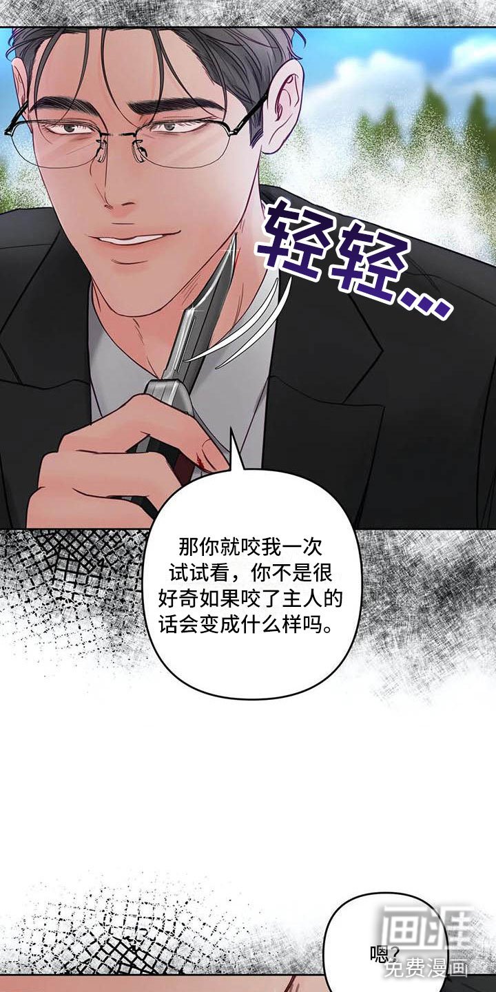 第21章：驯养：拔刀相向