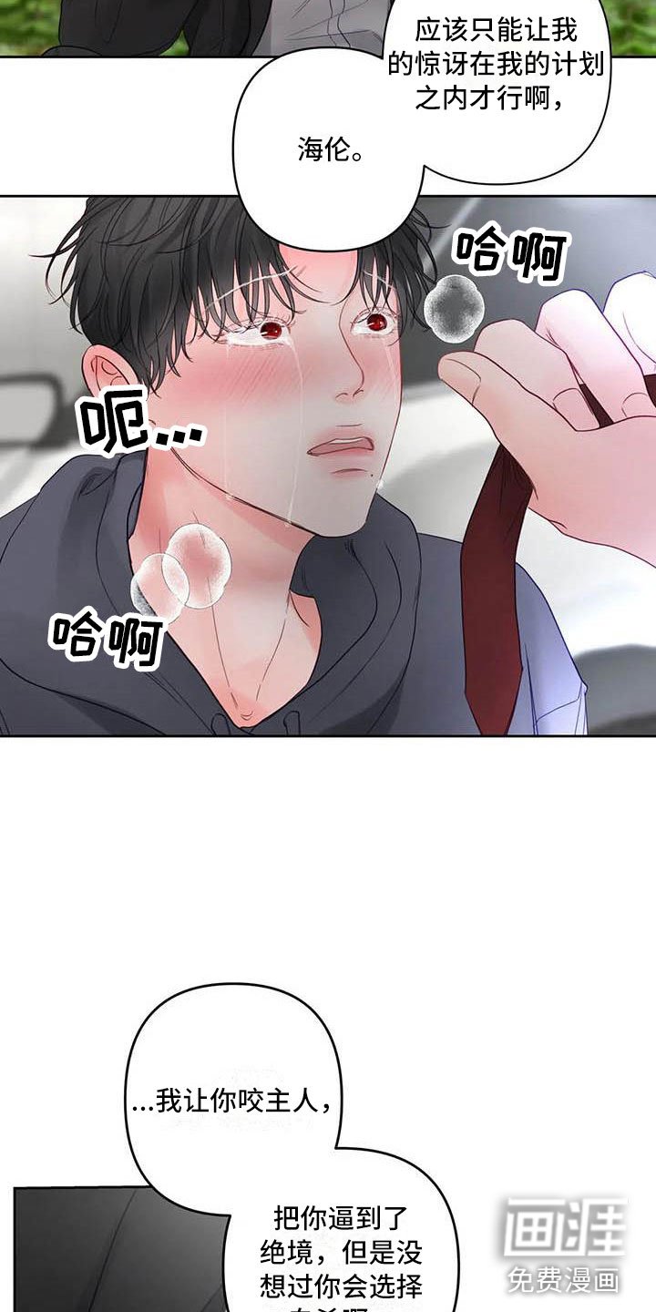 第22章：驯养：驯服(完)