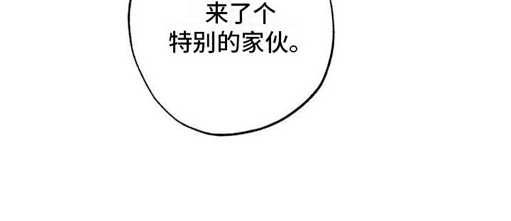第42章：幸运！管家：见钱眼开