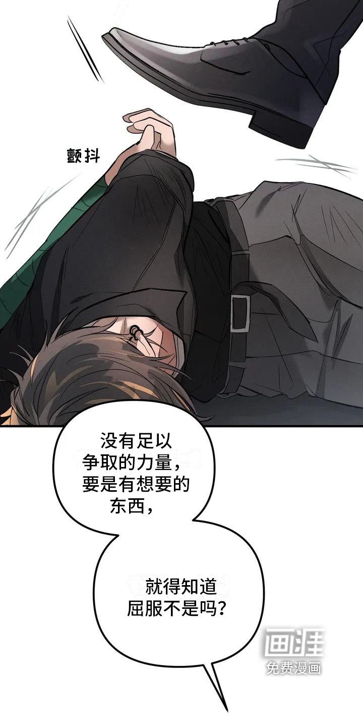 第52章：养狗：期待