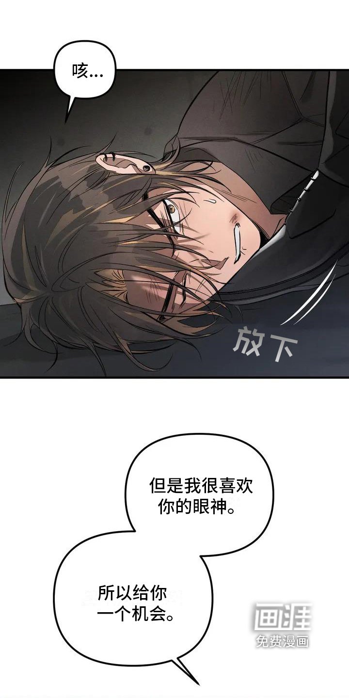 第52章：养狗：期待