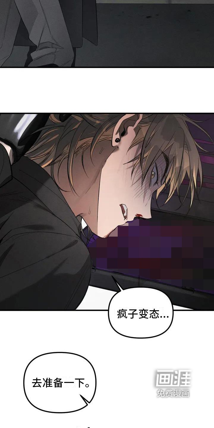 第53章：养狗：受伤