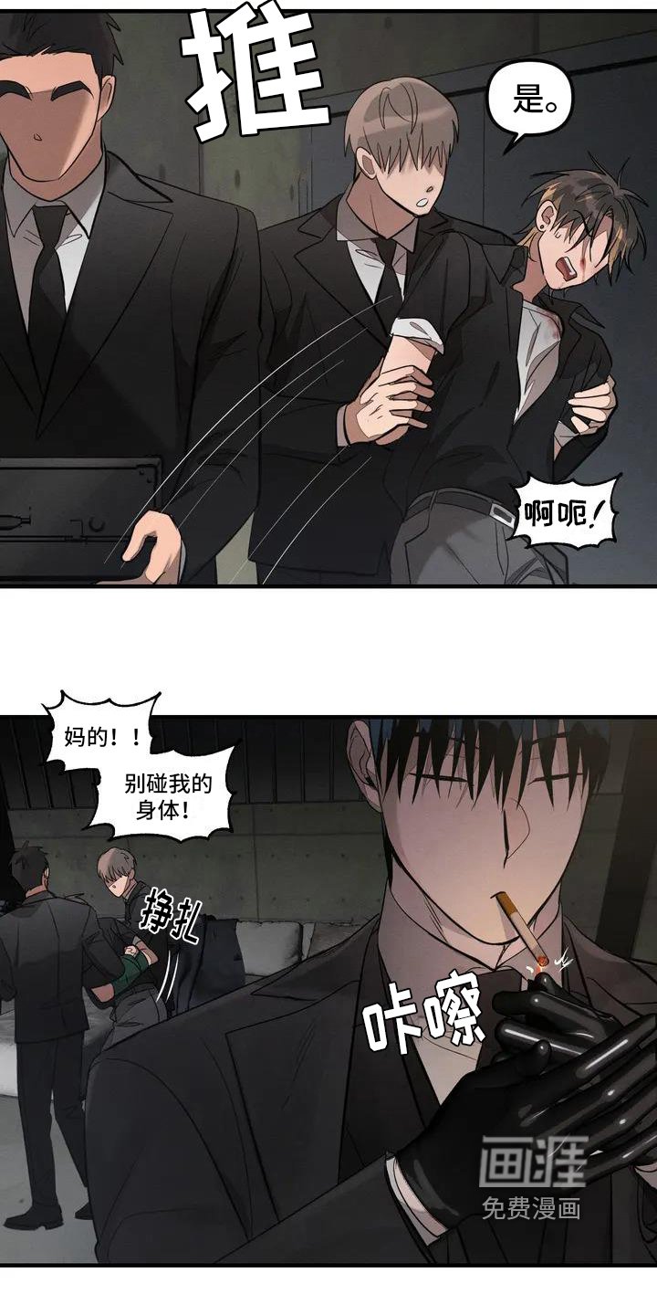 第53章：养狗：受伤