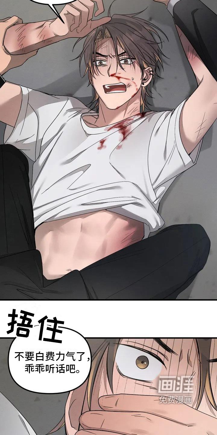 第53章：养狗：受伤