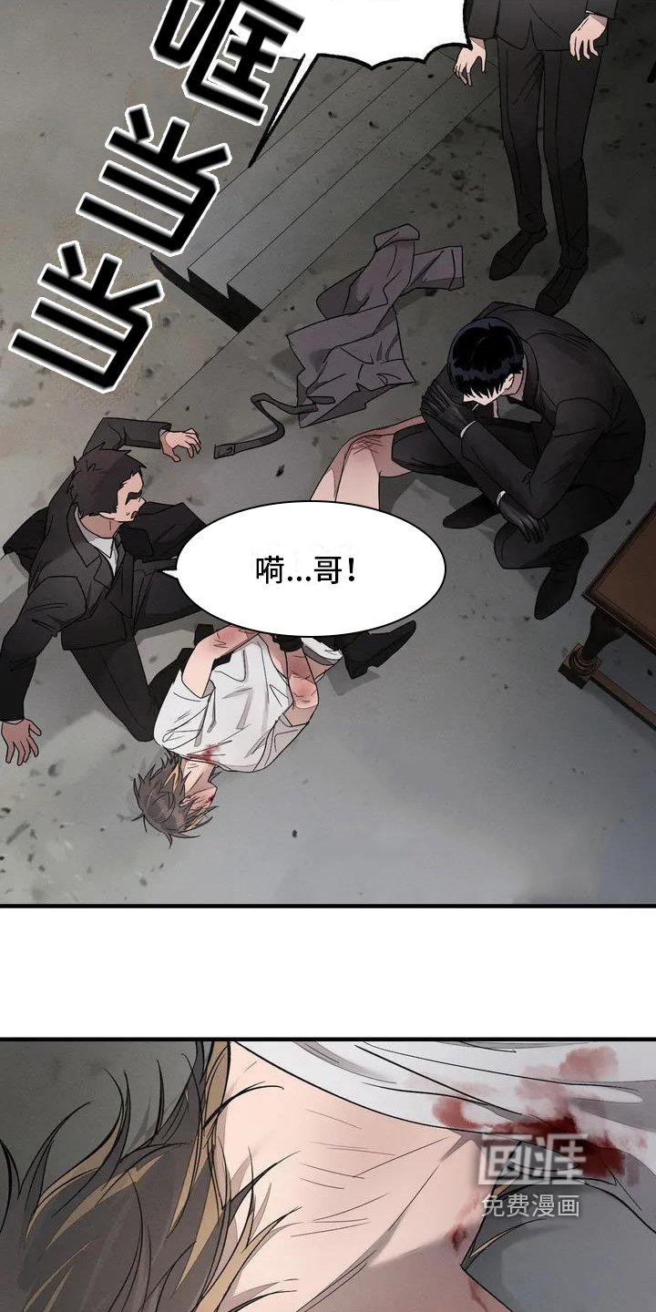 第53章：养狗：受伤