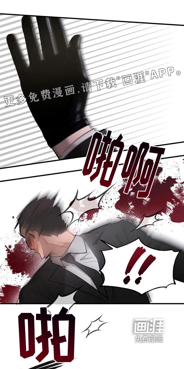 第54章：养狗：适合