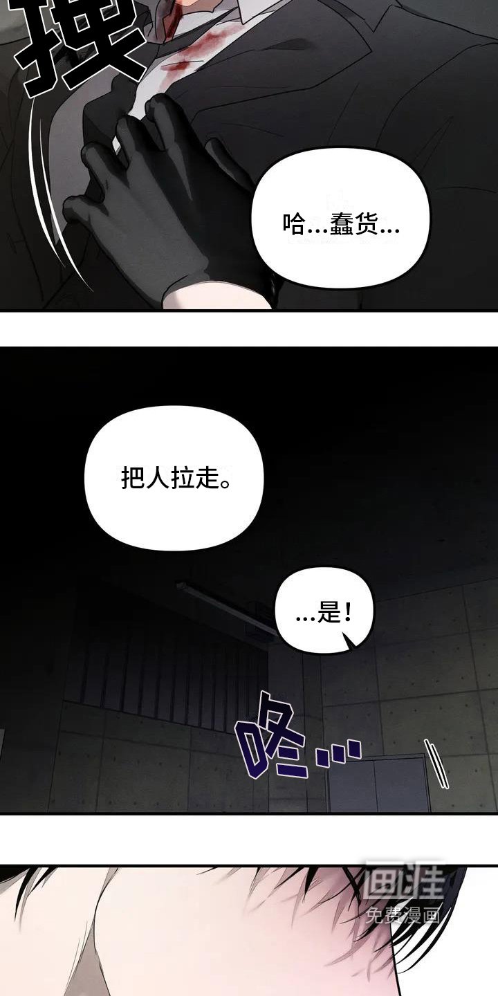第54章：养狗：适合