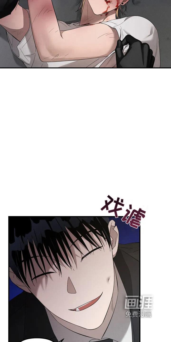 第54章：养狗：适合