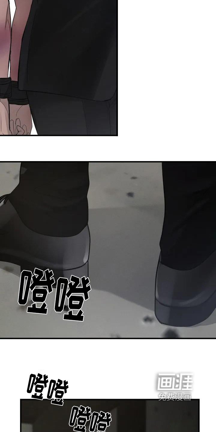 第54章：养狗：适合