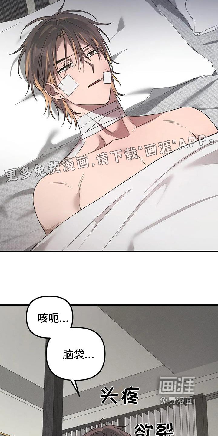 第55章：养狗：决定（完）