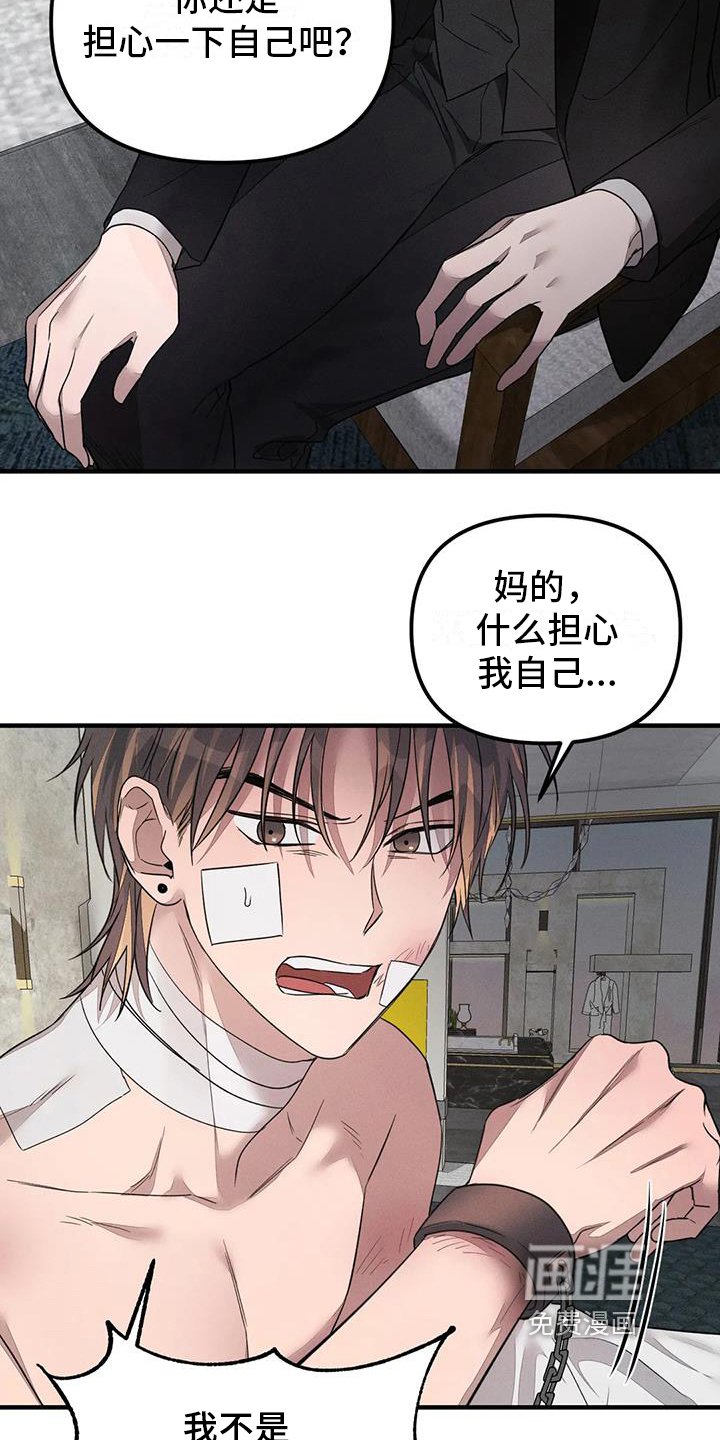 第55章：养狗：决定（完）