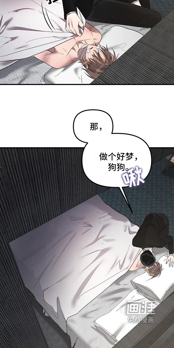 第55章：养狗：决定（完）