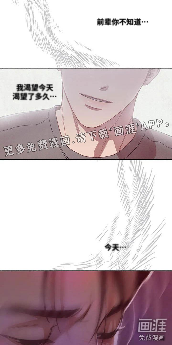 第65章：请，糖果！：诉说爱意