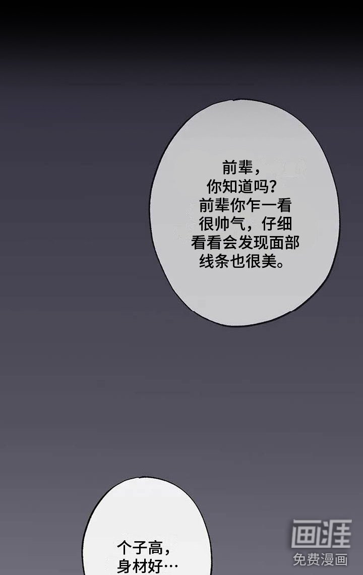 第65章：请，糖果！：诉说爱意