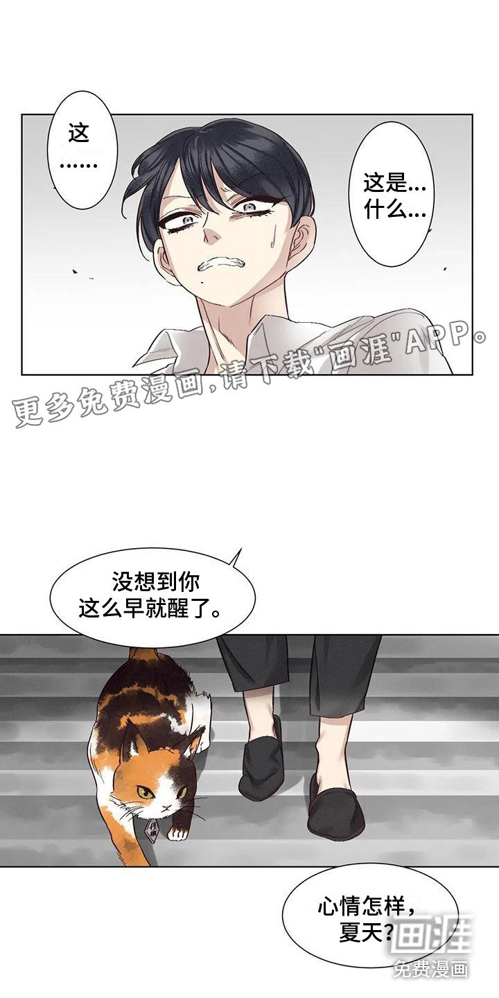 第74章：患有肺结核的前辈：绑架