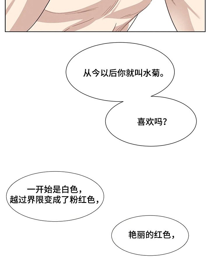 第77章：患有肺结核的前辈：新名字（完）
