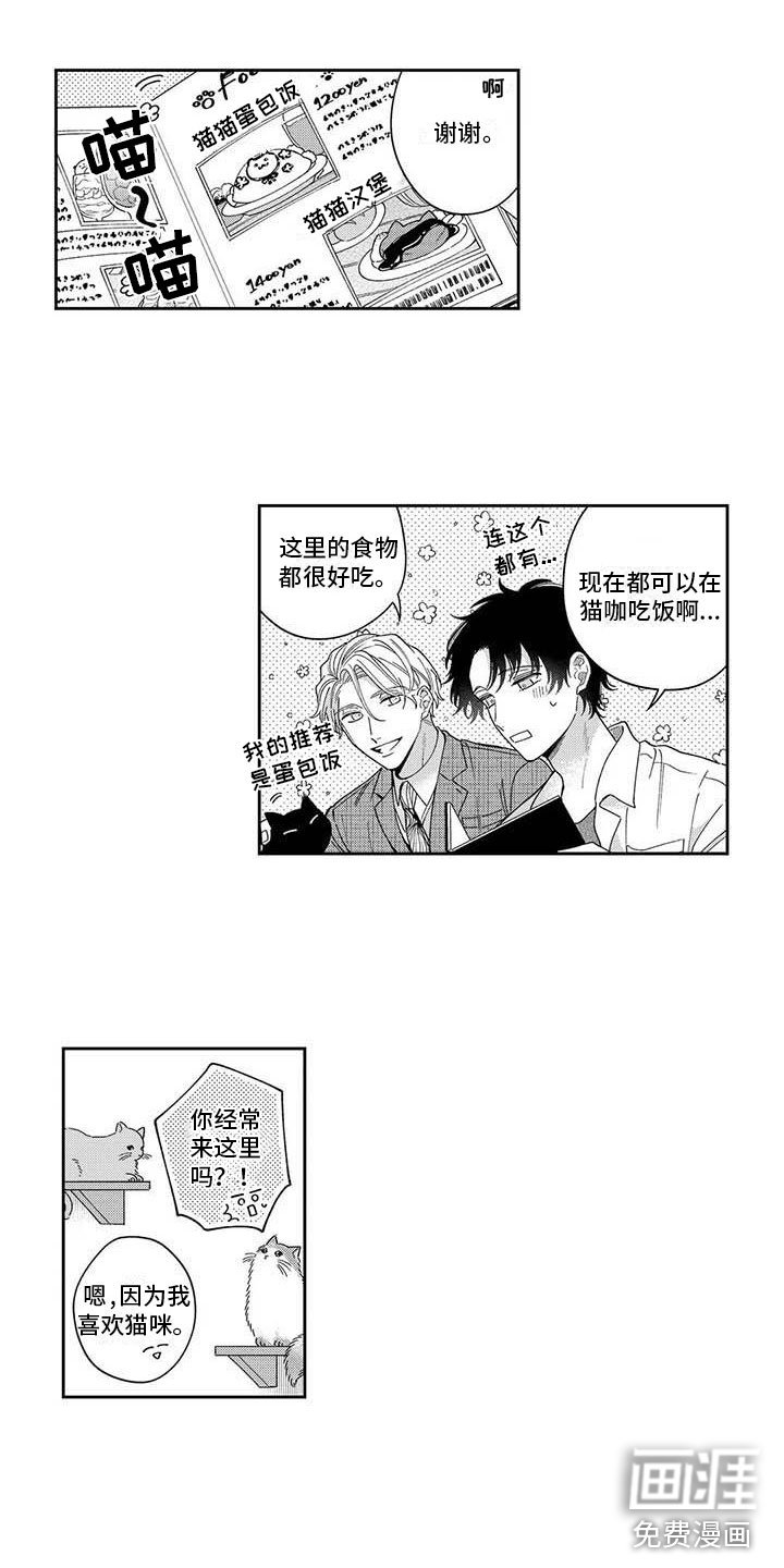 第8章：一起去猫咖
