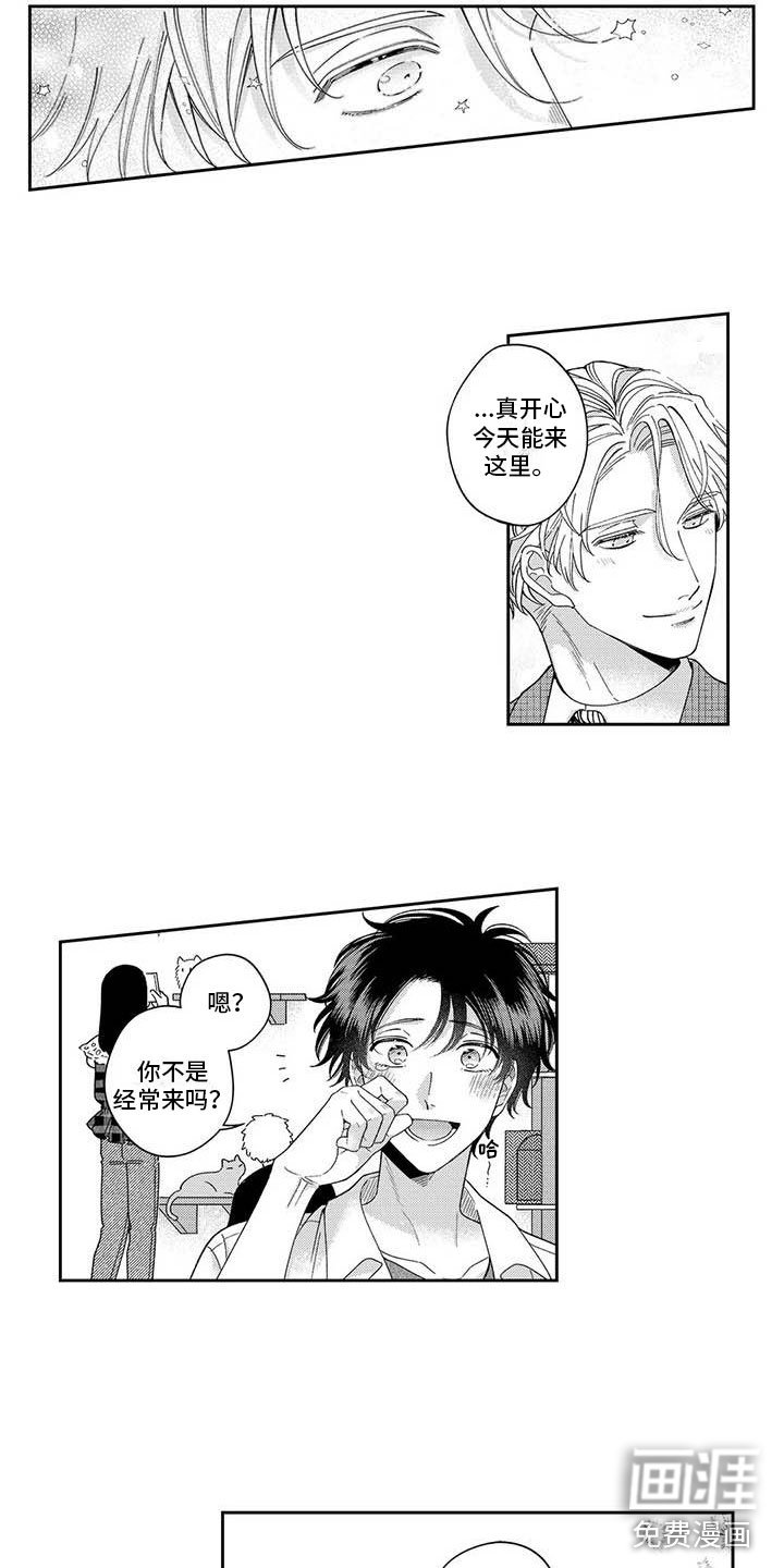 第8章：一起去猫咖