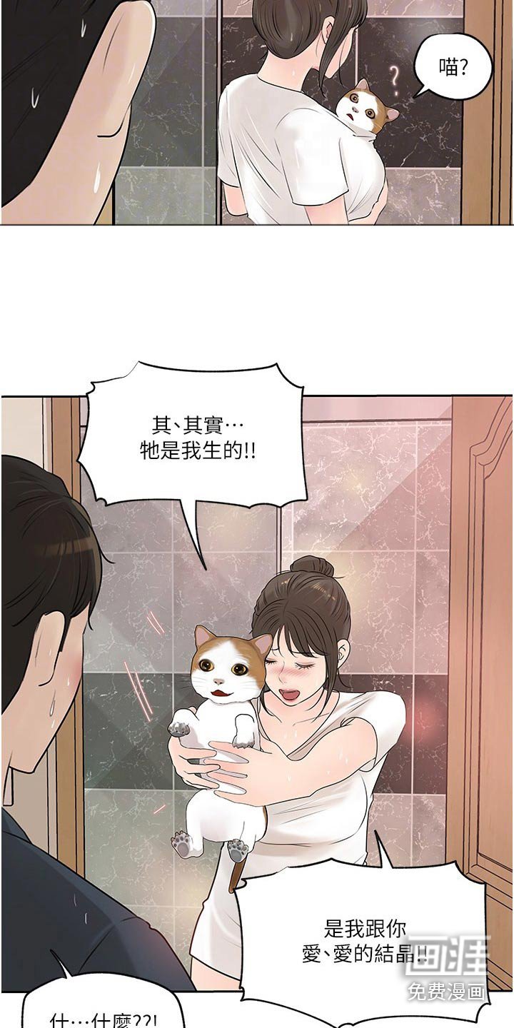 第65章：猫咪