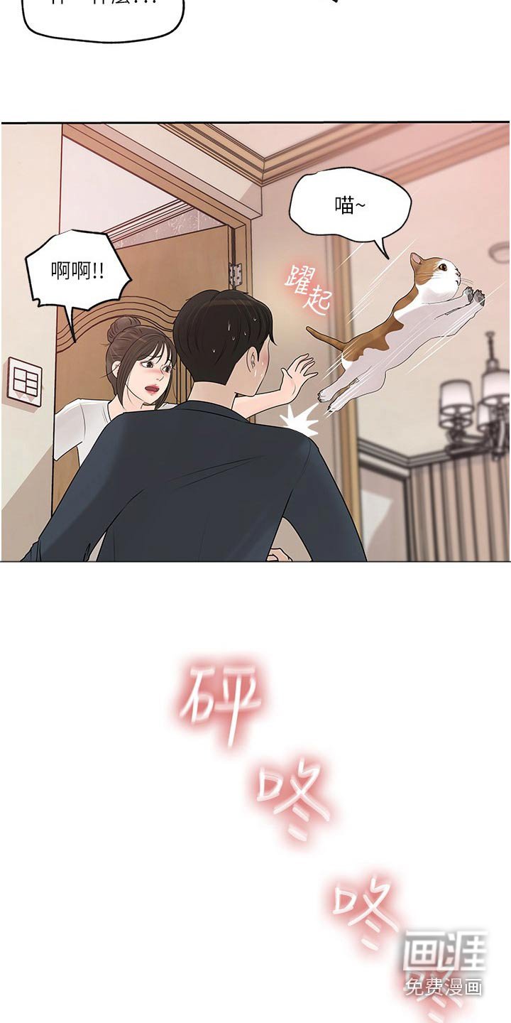 第65章：猫咪