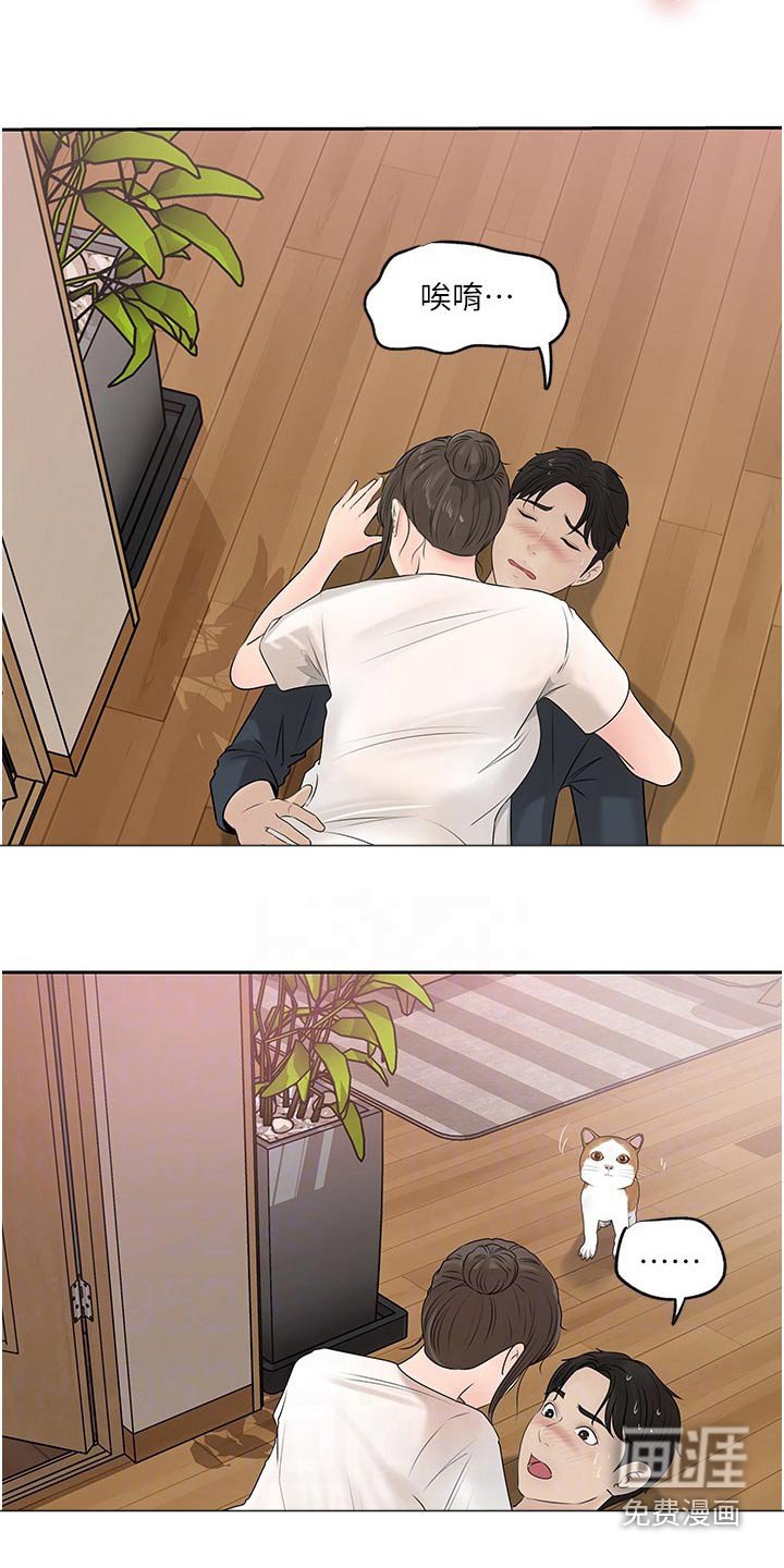 第65章：猫咪