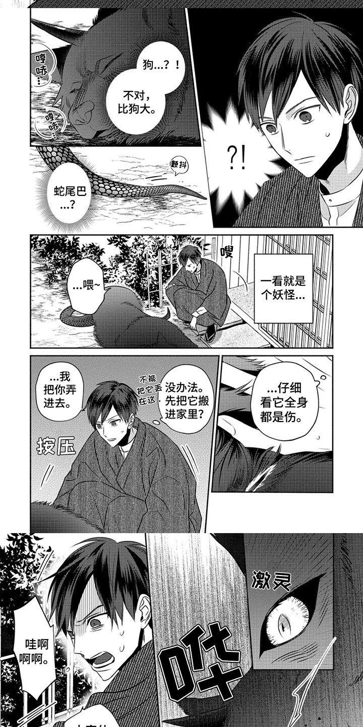 第1章：特殊体质