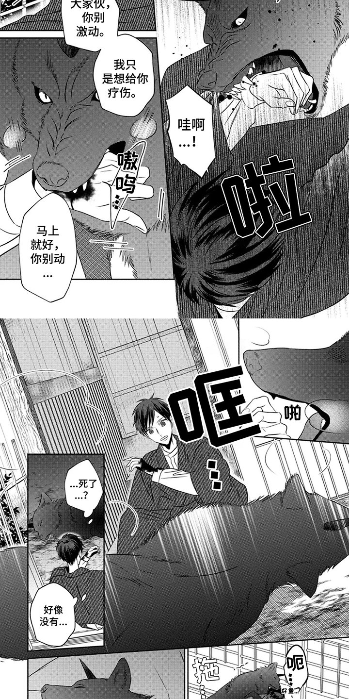 第1章：特殊体质