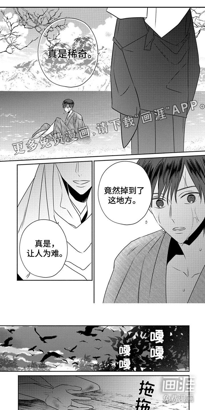 第12章：灵魂