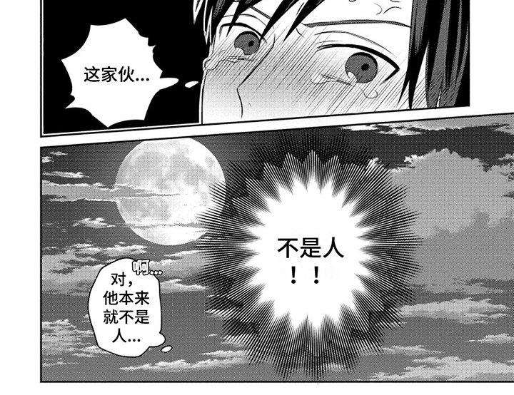 第5章：条件
