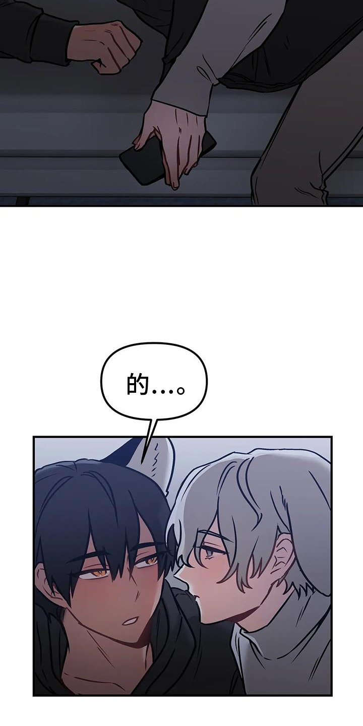 第13章：进攻