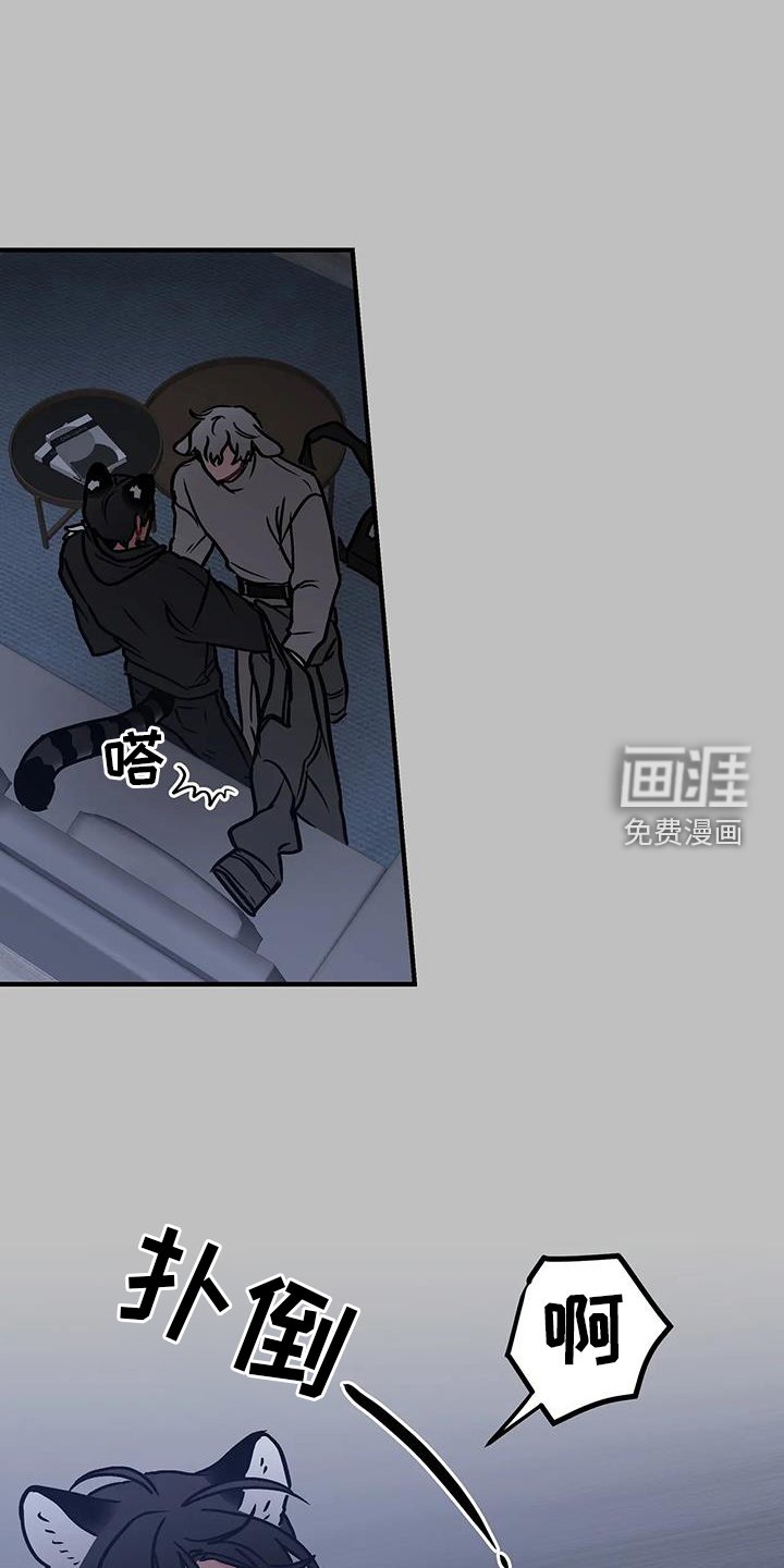 第13章：进攻