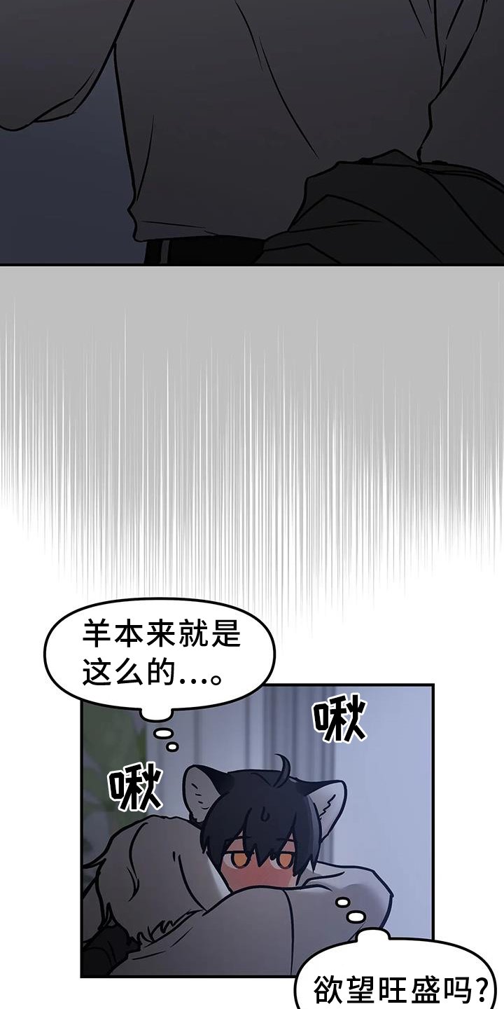 第13章：进攻