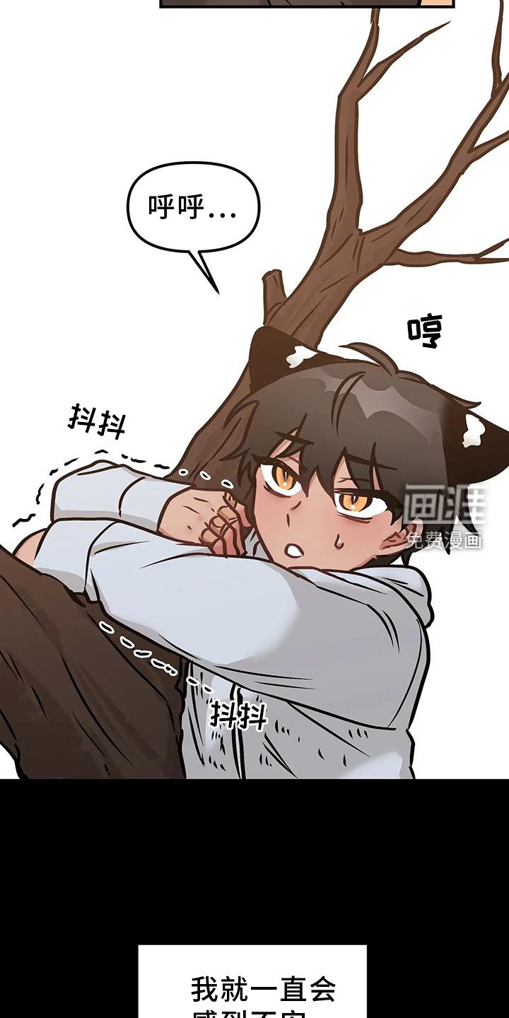 第20章：尝试