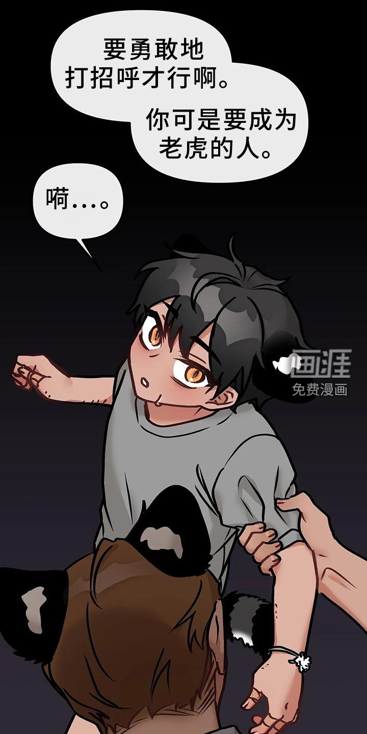第20章：尝试