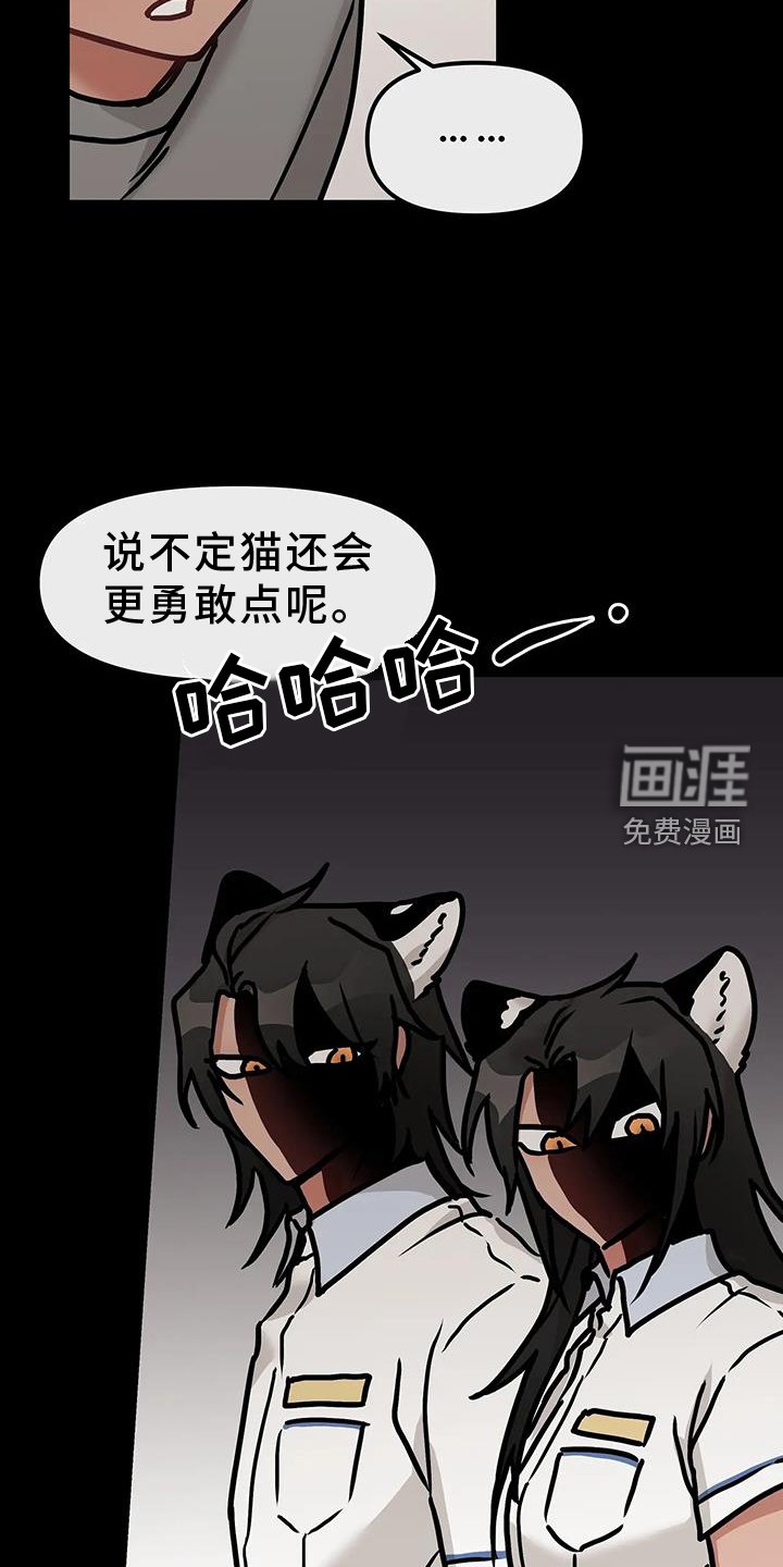 第20章：尝试
