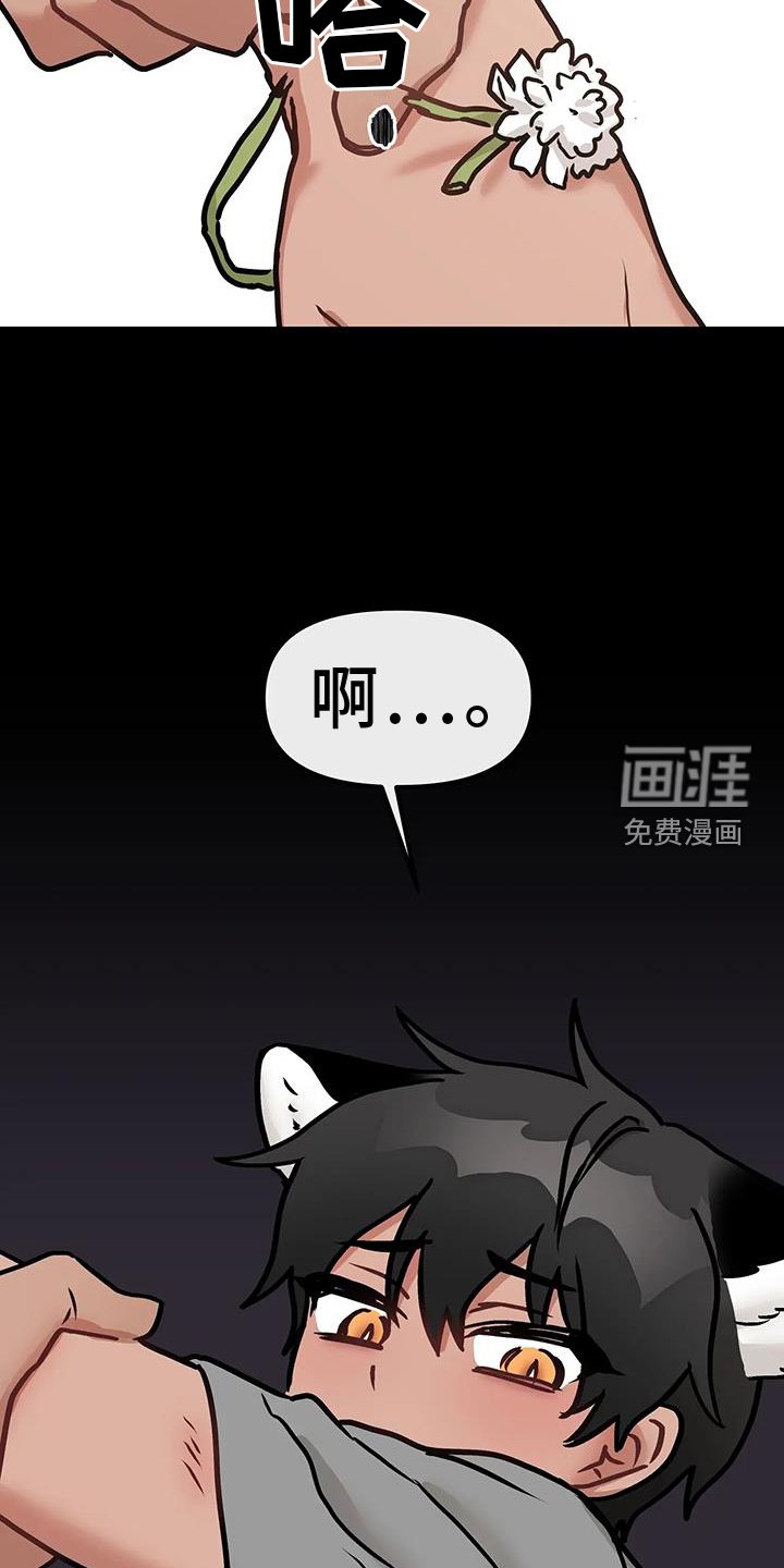 第20章：尝试