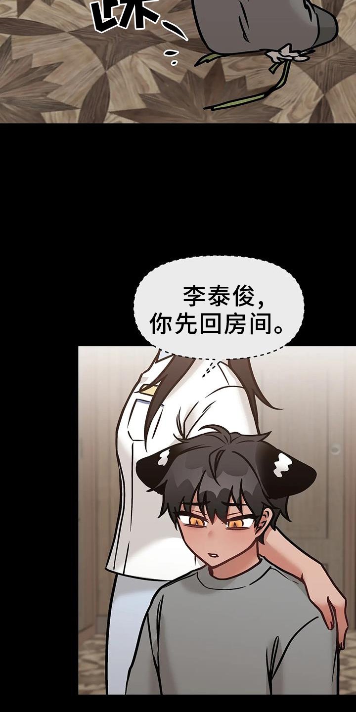 第20章：尝试