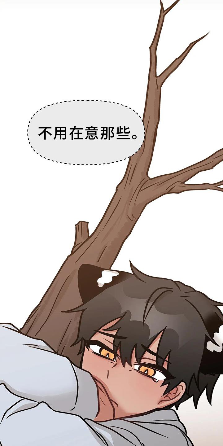 第20章：尝试