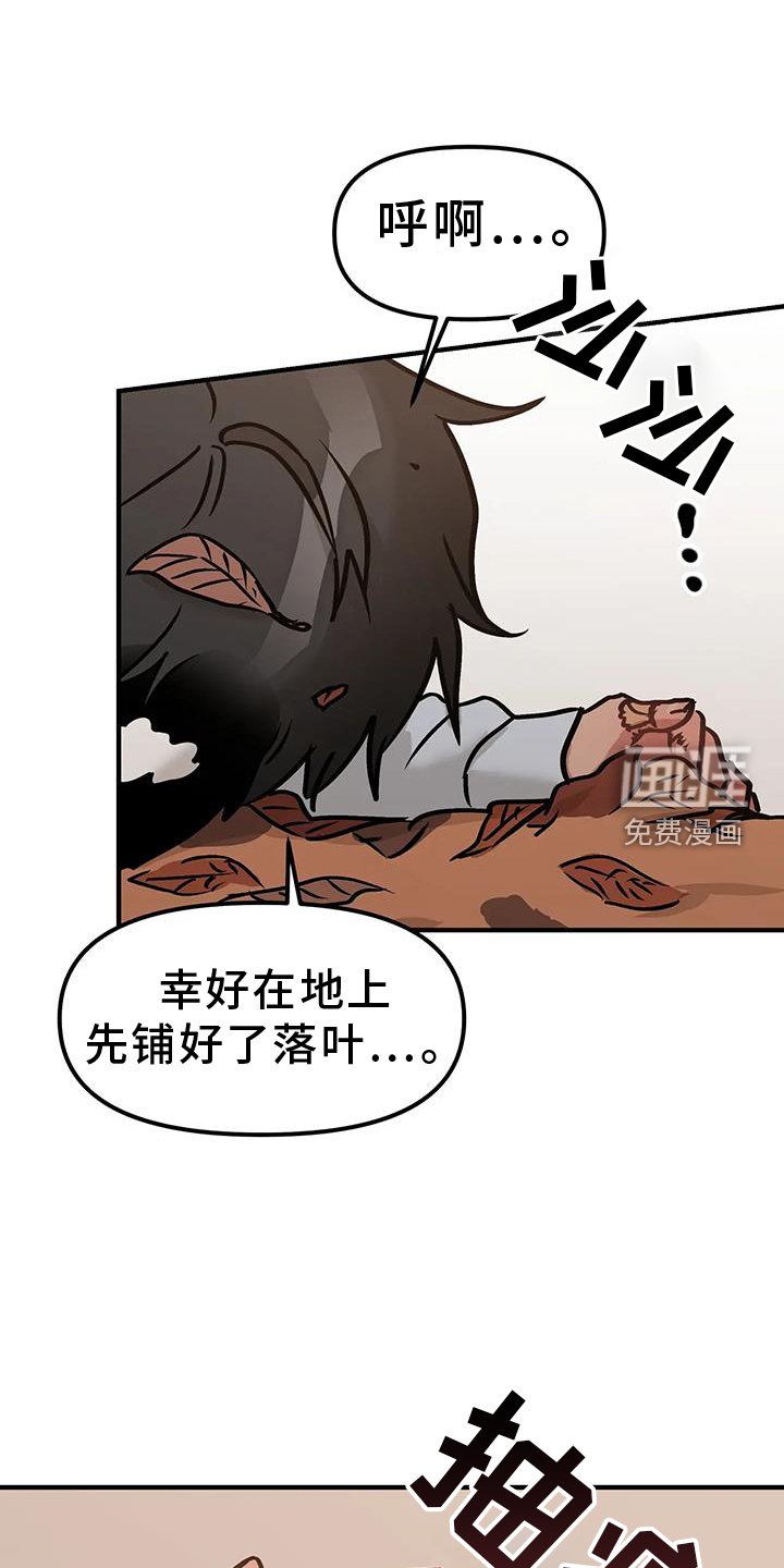 第20章：尝试