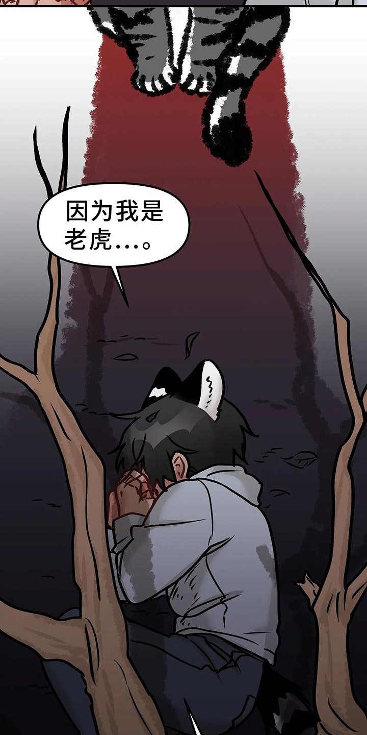 第20章：尝试