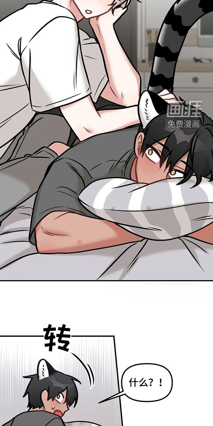 第23章：推荐