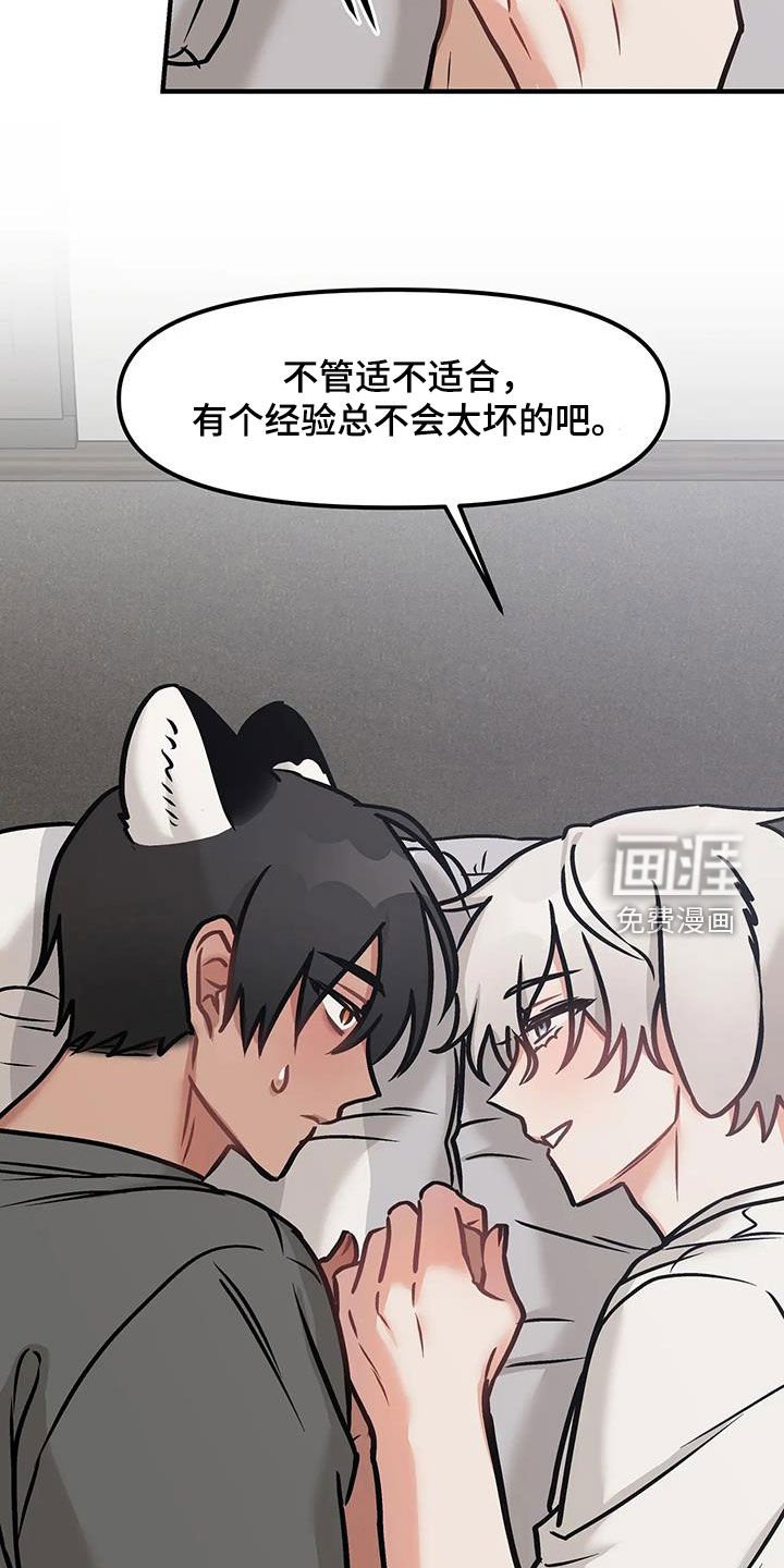 第23章：推荐