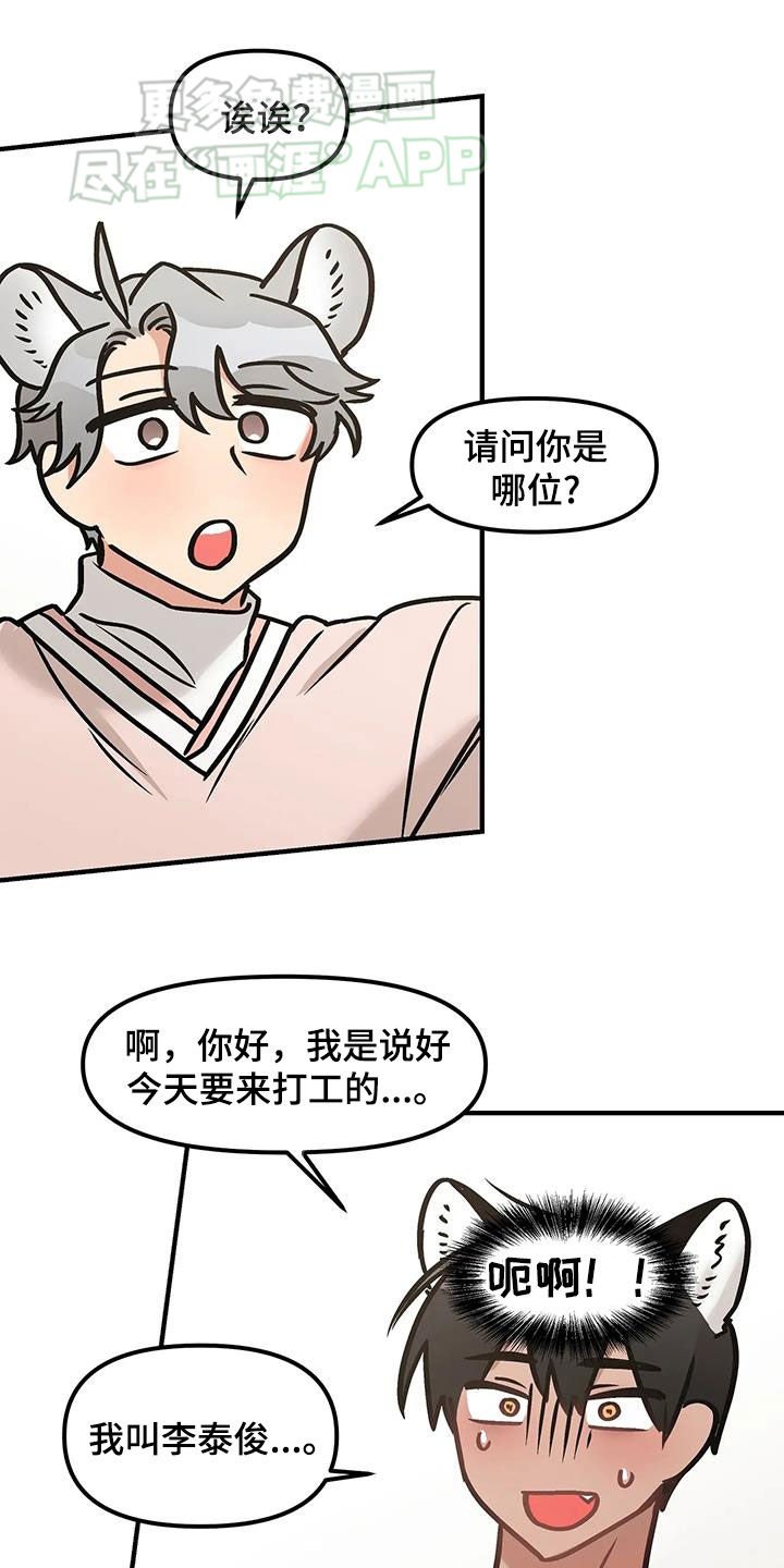第25章：到底什么意思