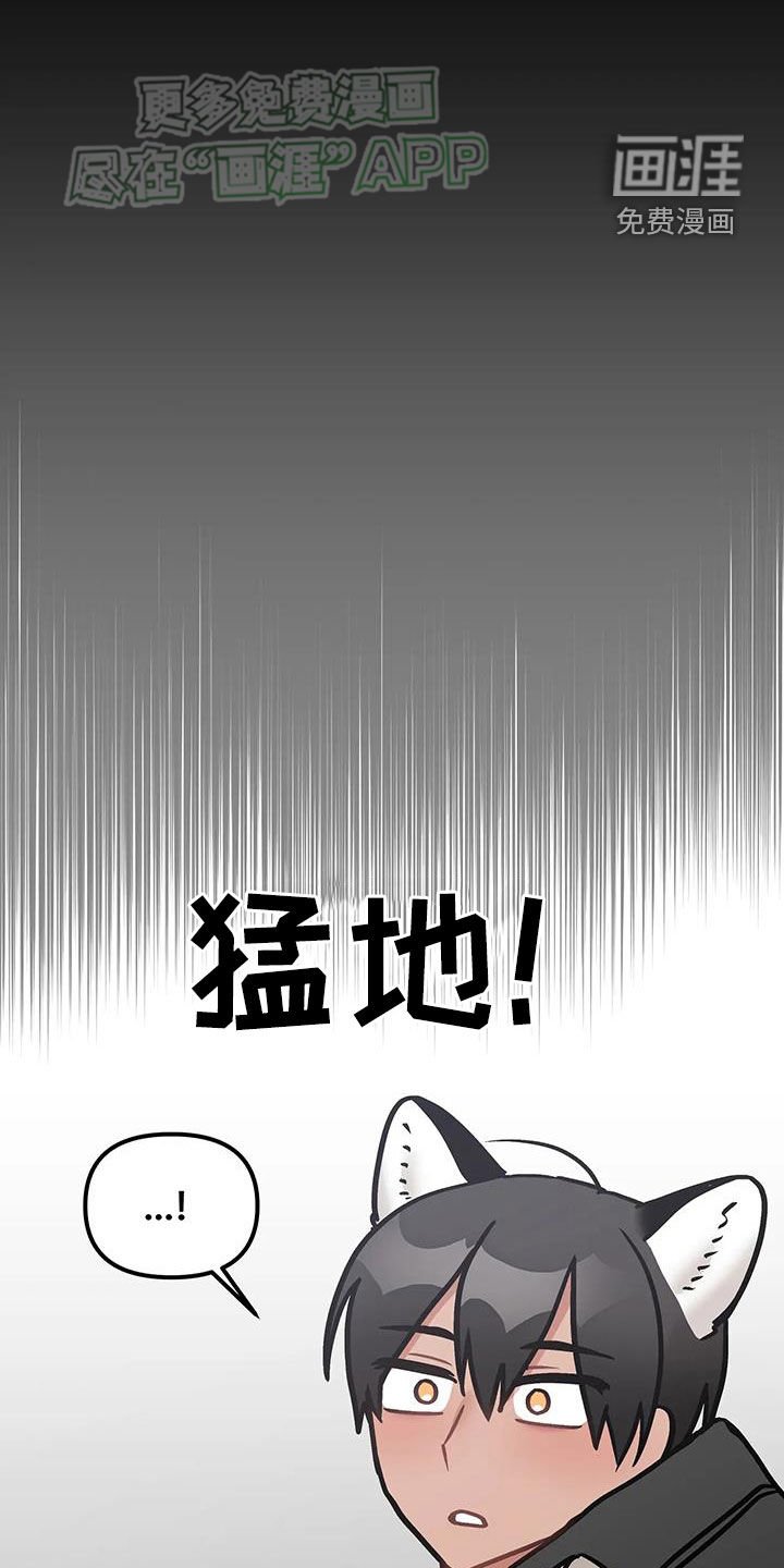 第25章：到底什么意思