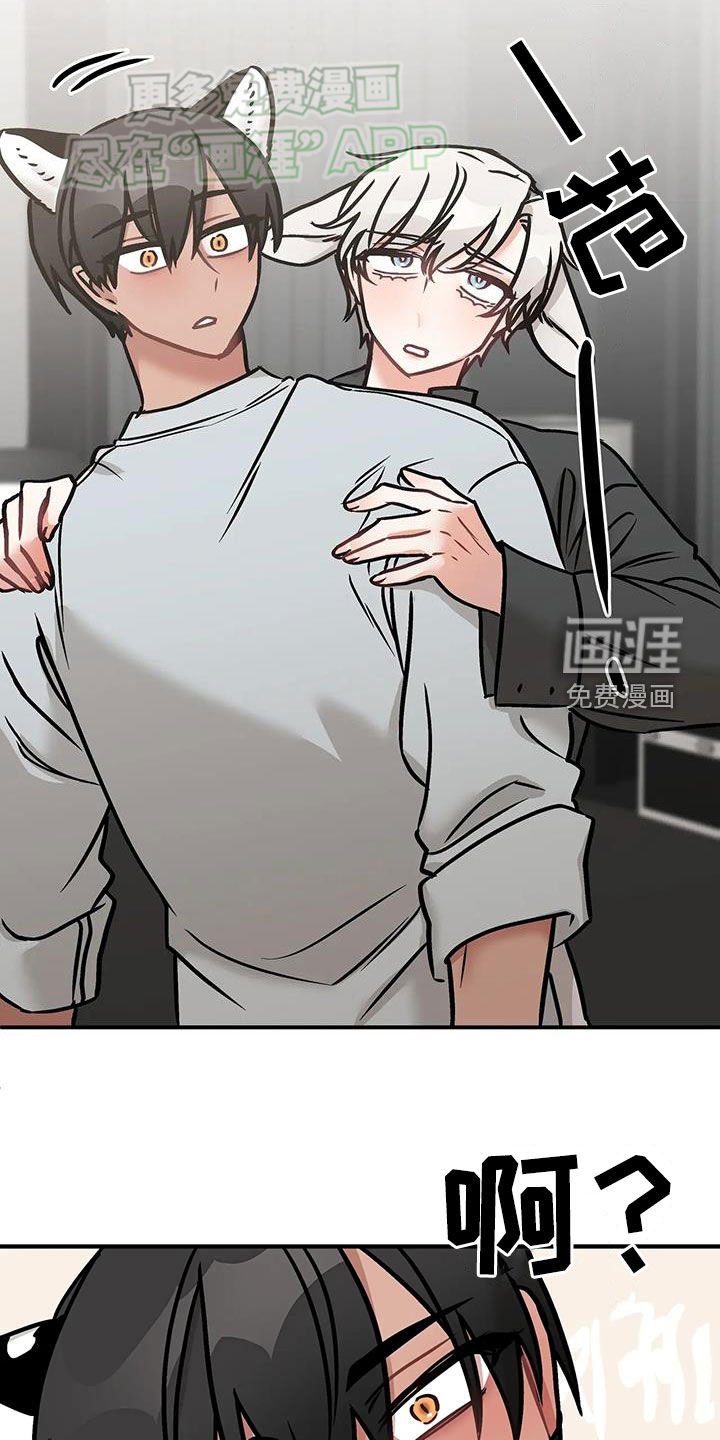 第27章：出头