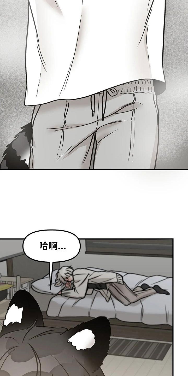 第3章：带回家
