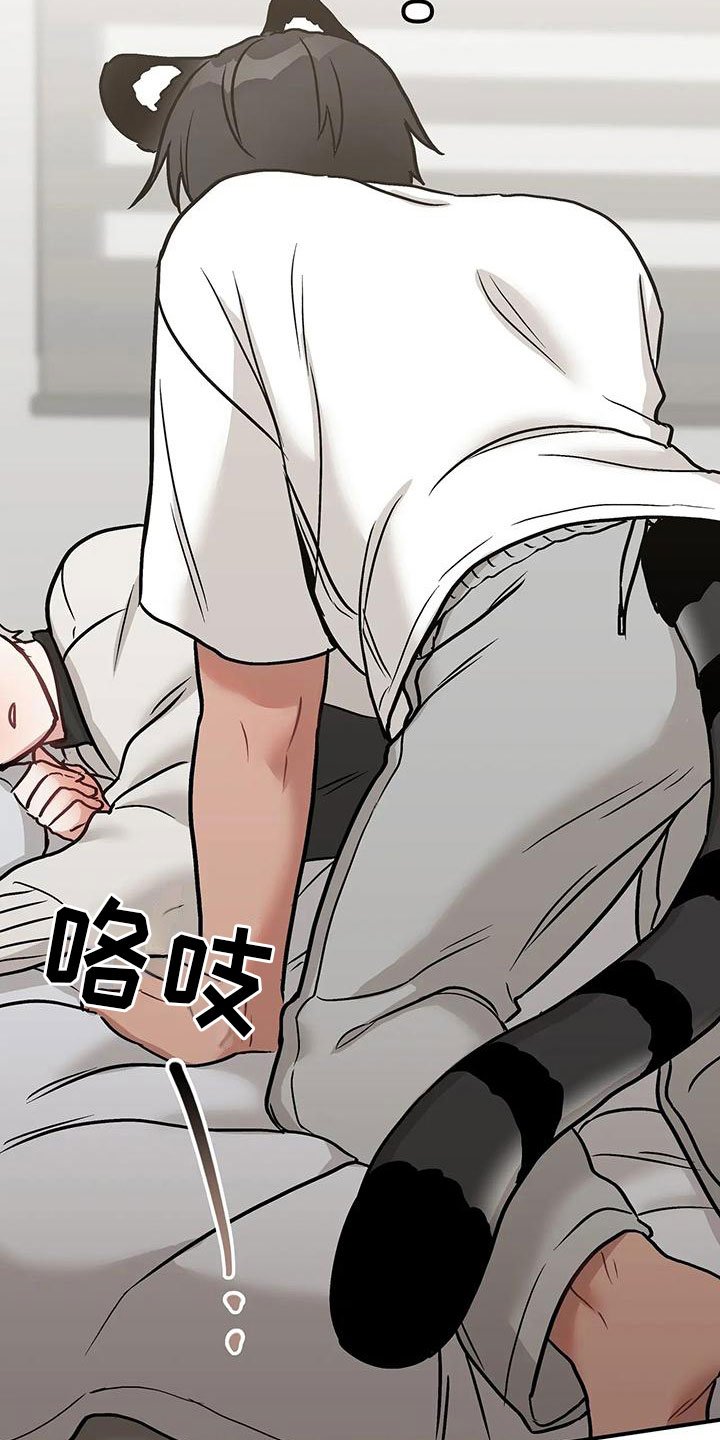 第3章：带回家